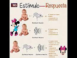 John B. Watson ¨Conductismo¨