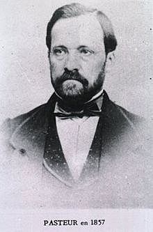 Pasteur