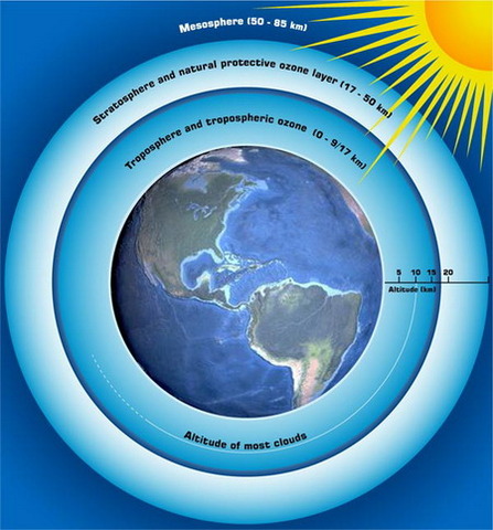 (600 mya) Protective ozone layer in place