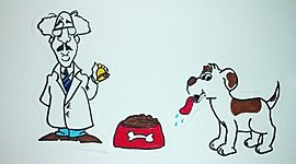 Timeline: Conductismo