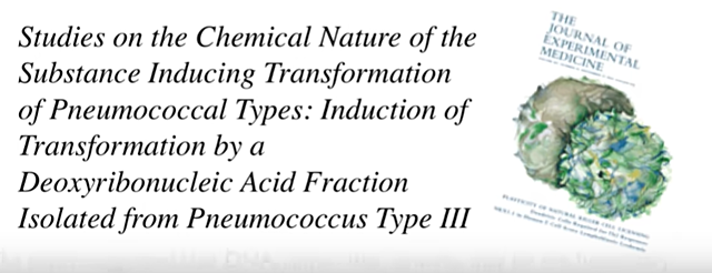 JOURNAL OF EXPERIMENTING MEDICINE 1 (OSWALD AVERY, COLIN MACLEOD AND MACLYN MCCARTY)