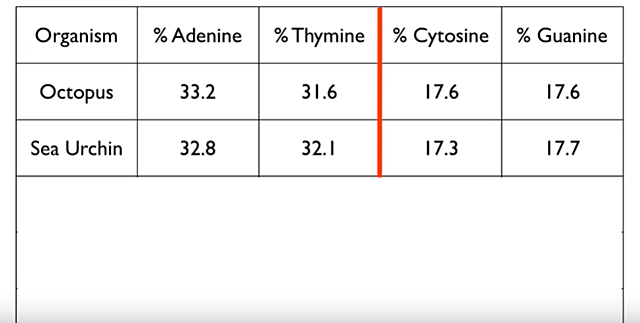 COUNTING NUCLEOBASES 1 (ERWIN CHARGAFF)