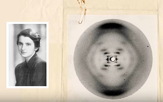 PHOTO 51 FRANCIS CRICK JAMES WATSON MAURICE WILKINS AND ROSALIND FRANKLIN