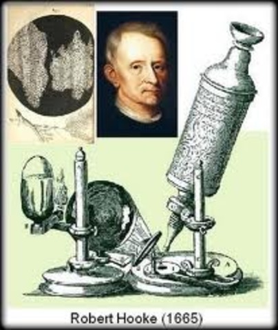 Robert Hooke