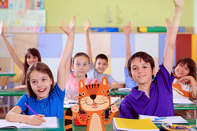 mis de mas años en la primaria