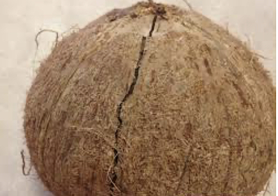 The First time Going to the E.R