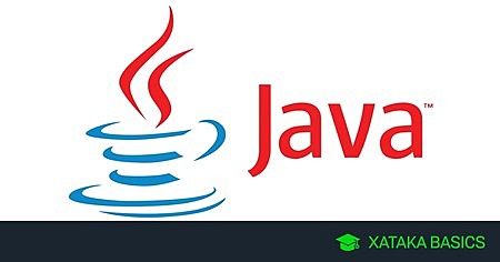 JAVA