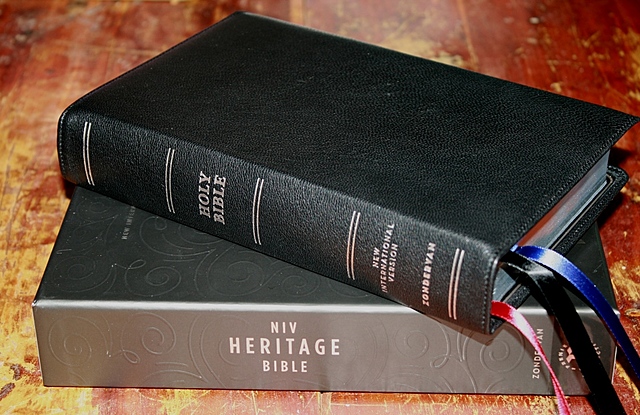 New International Version (NIV)