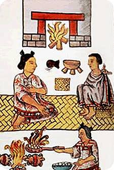 Medicina practicada por médicos indígenas