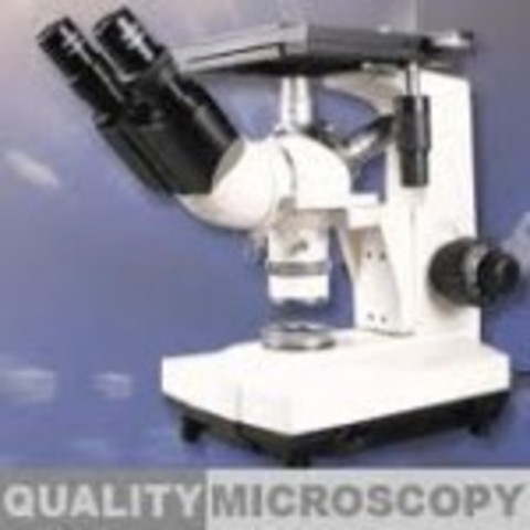 Photosynthesizing bacteria (3.7 bya)