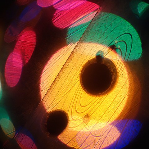 Turtles all the way down