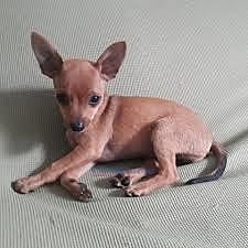 CUANDO LLEGO MI PINSIPE