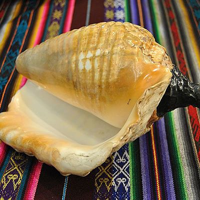 Timeline: EL PUTUTU DE CARACOL