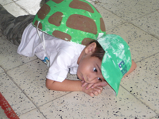 Turtle presentation in garden