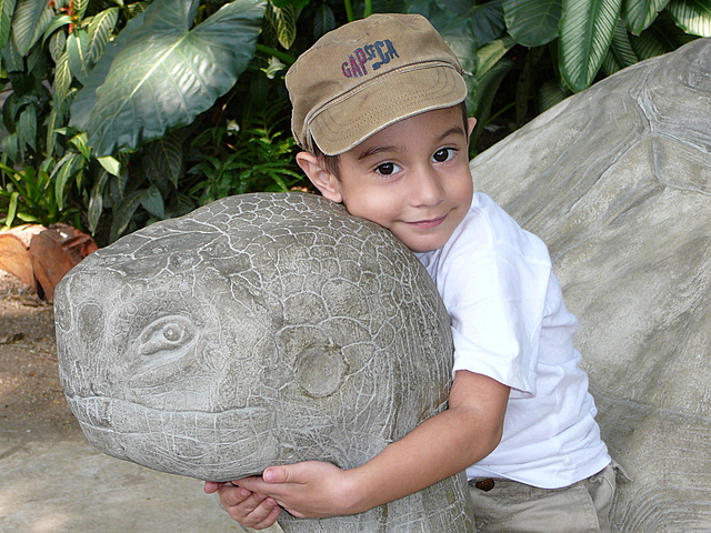 Walk in the Cali Zoo with the Garden