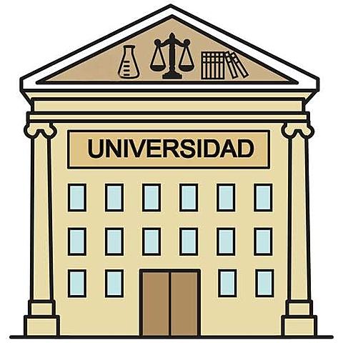 mi primer semestre de universidad