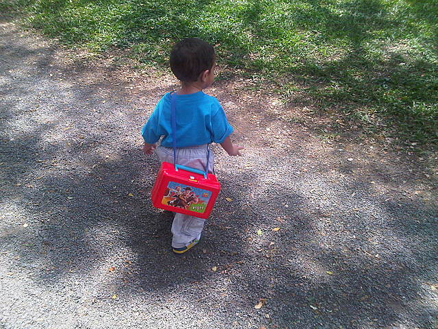 My first day in the garden