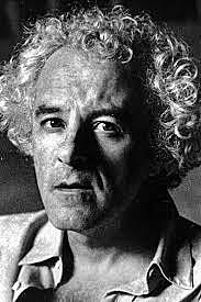 Ataque de Flávio Rangel