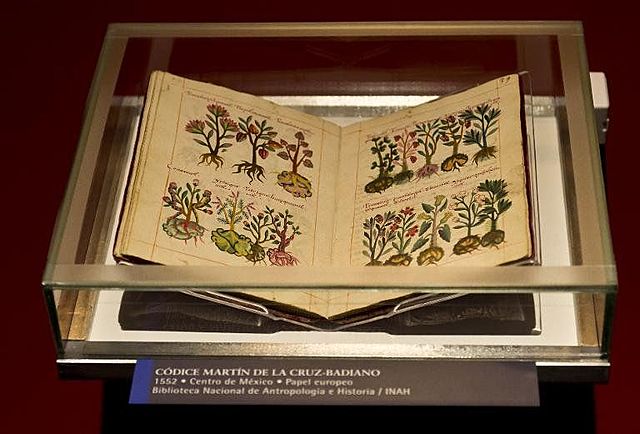 Medicina tradicional