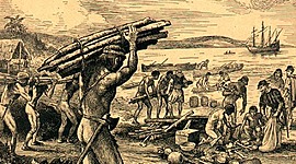 Timeline: Leis de liberdade para os índios, durante o período colonial