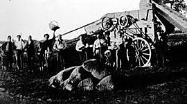 Timeline: La argentina y la economia agroexportadora