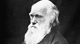 Timeline: La vida de Darwin
