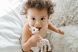 2 Month Content/Semantics