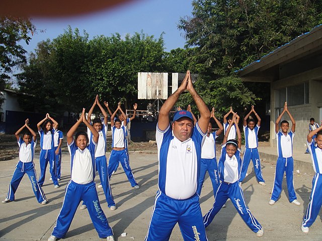 se logro ser nivel universitario