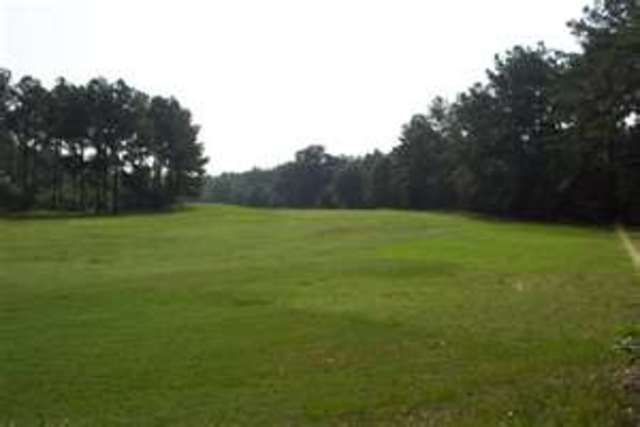 Bean clared his land