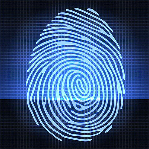 Fingerprinting Used