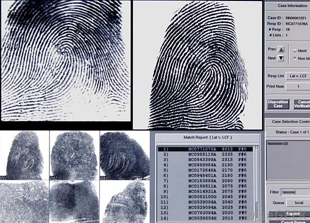 Fingerprint Database