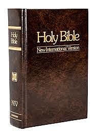 The "New International Version" (NIV)