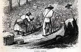 Rhode Island Restricts Slavery