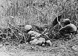 Dutch Forces Recapture