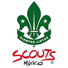 Scouts