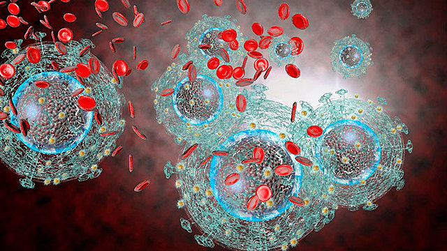 Sinapsis virològiques