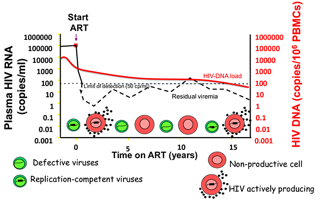 On-going viral replication