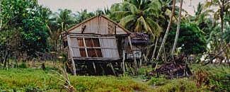 Papua New Guinea Quake