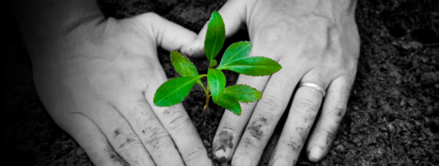 Inserting the blog with Earth Day information