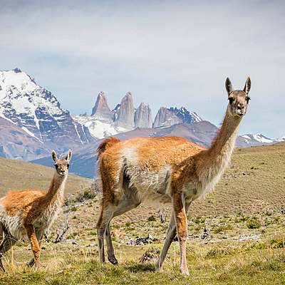 Timeline: Latijns-Amerika