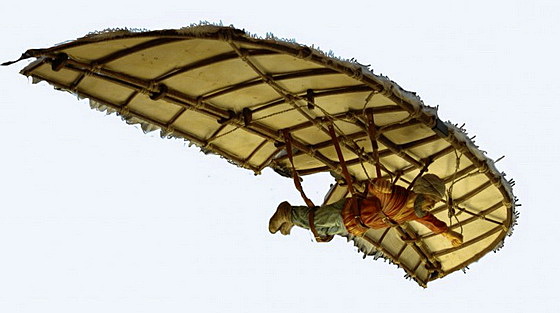 Creacion de alas de madera