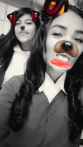 cuarto semestre de preparatoria