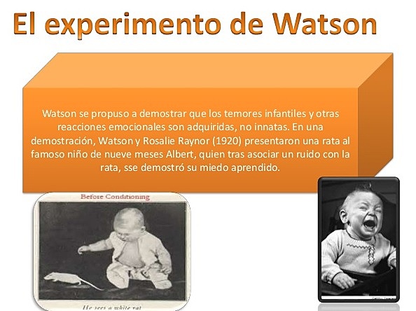 Experimento de John Watson