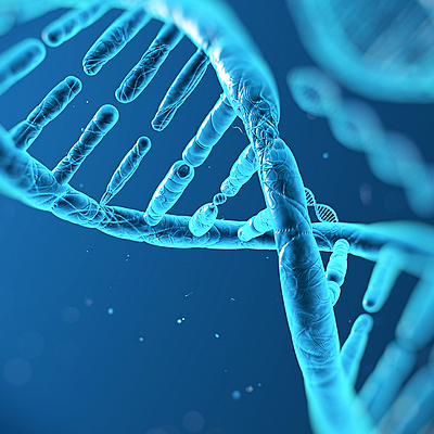 Timeline: The discovery of DNA