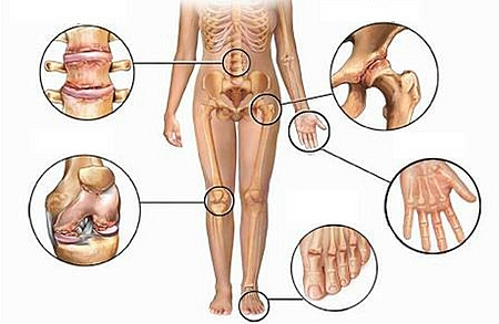 investigación sobre el peso