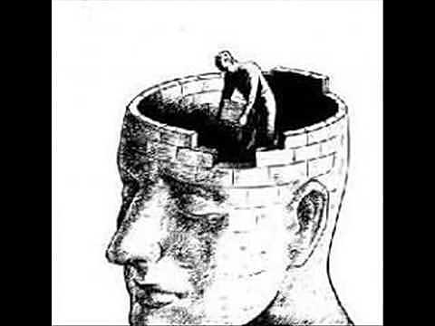 TEORÍA PSICOANALISTA