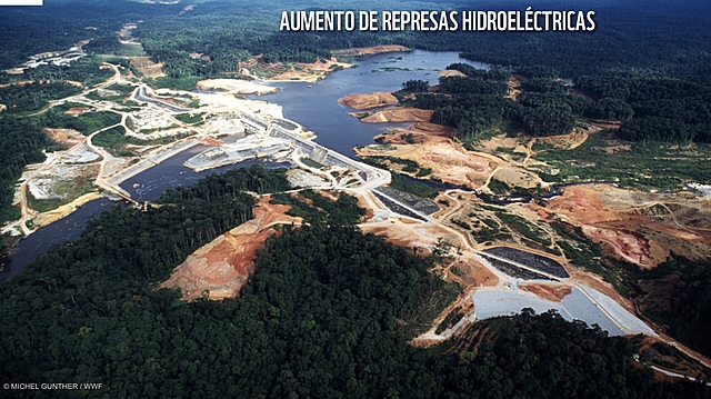 Las grandes amenazas del Amazonas