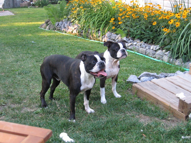 Summer In Our New Home