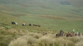 Timeline: EVOLUCIÓN TECNOLÓGICAS DE LAS TICs