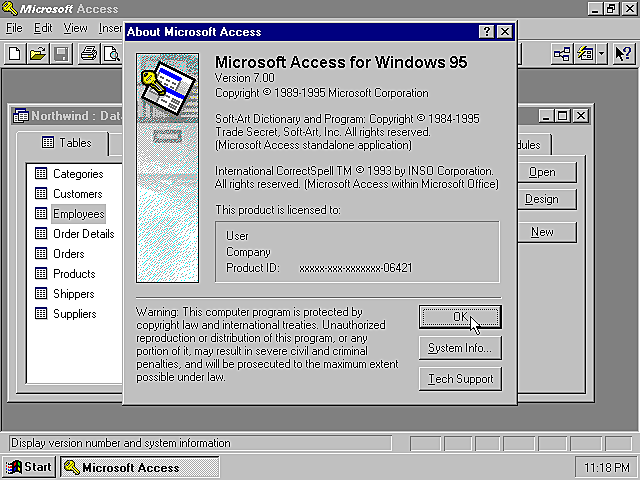 Access versión 1.1